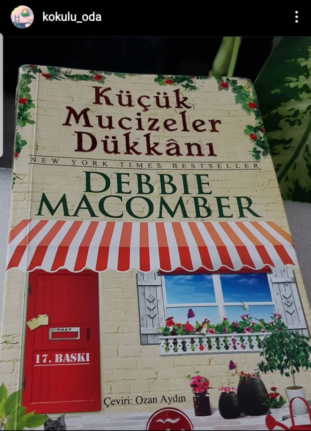 Küçük Mucizeler Dükkanı