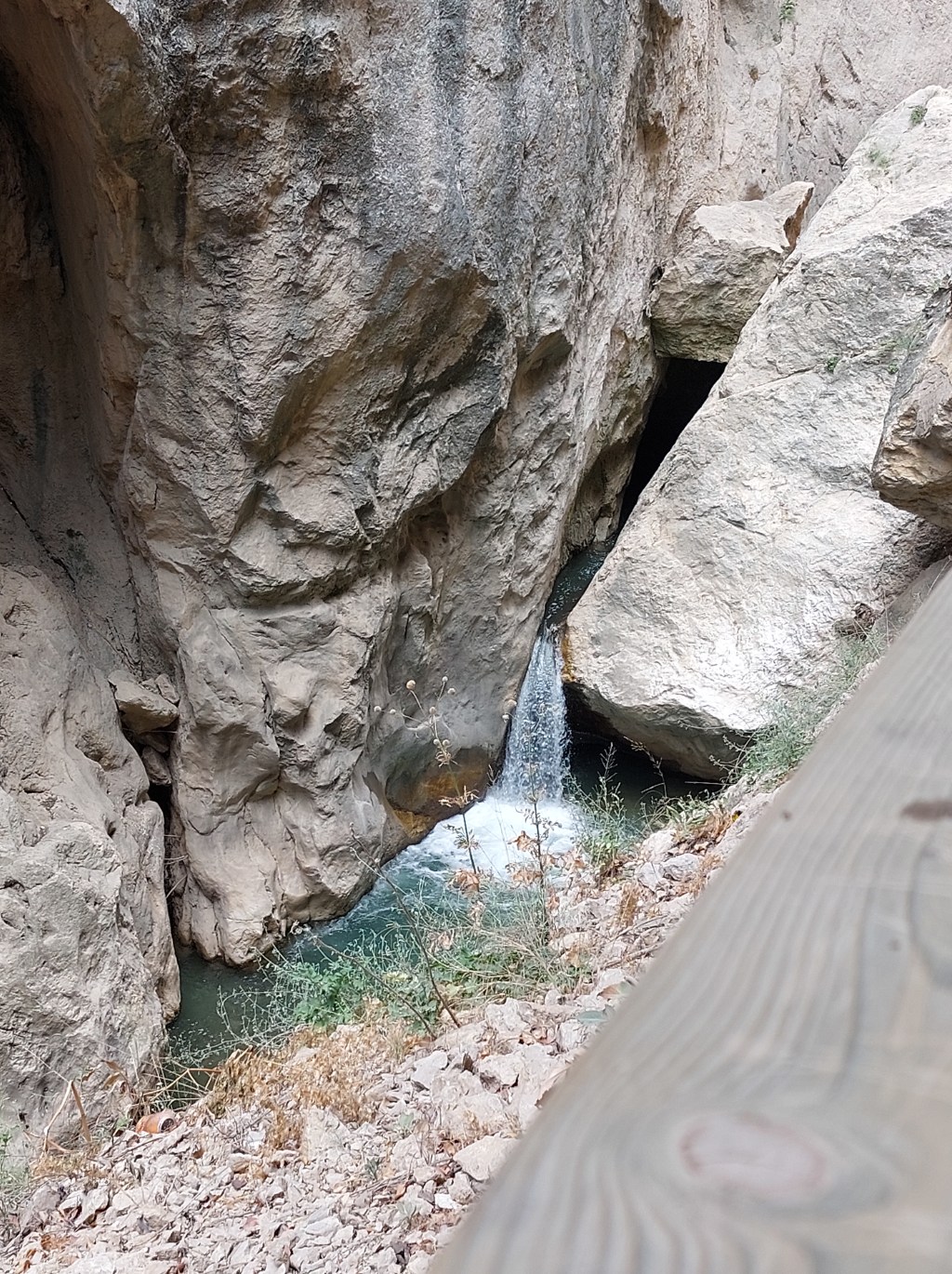 Günlük Tavsiyem -11 AĞUSTOS&nbsp;2022-