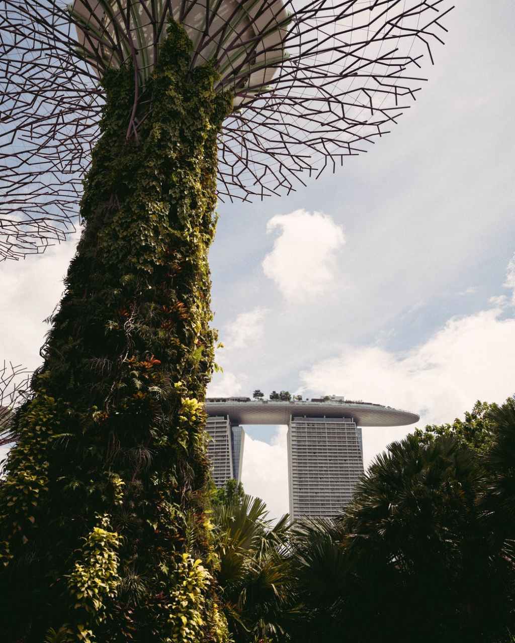 Günlük Tavsiyem – 06 AĞUSTOS&nbsp;2022-